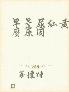 早晨尿红黄是什么原因