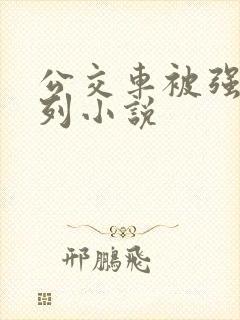 公交车被强d系列小说