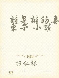 谁是谁的妻陈三东子 小说