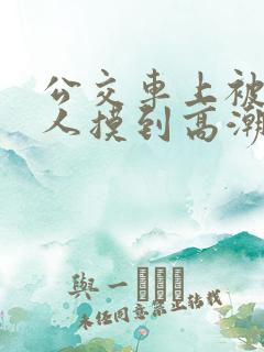 公交车上被陌生人摸到高潮