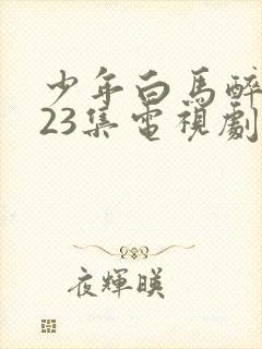 少年白马醉春风23集电视剧在线观看