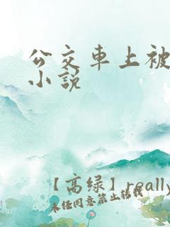 公交车上被摸的小说
