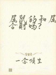 属鼠的和属龙的合财吗?