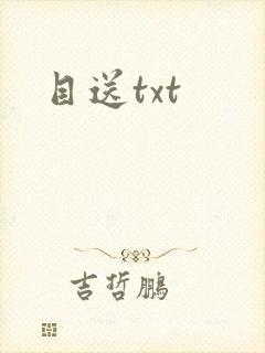 目送txt