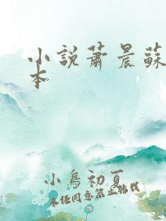 小说萧晨苏晴完本