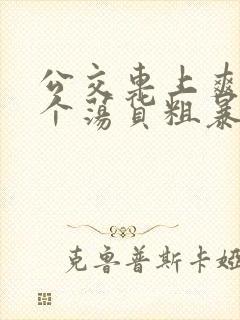 公交车上爽死你个荡货粗暴h小说