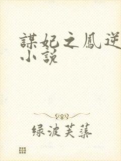 谋妃之凤逆天下小说