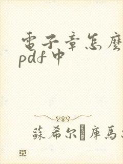 电子章怎么盖到pdf中