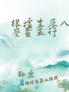 根据生辰八字怎么查五行
