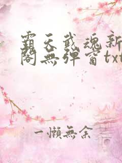 霸天武魂新笔趣阁无弹窗txt