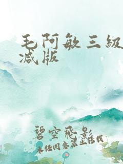 毛阿敏三级无删减版