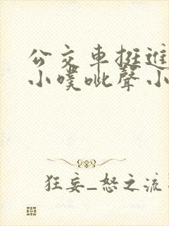 公交车挺进她的小噗呲声小说