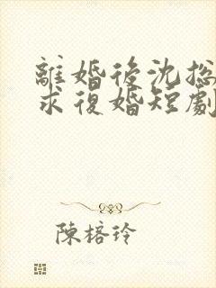 离婚后沈总天天求复婚短剧免费观看