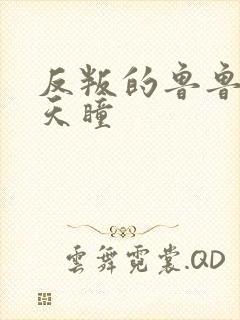 反叛的鲁鲁修之天瞳