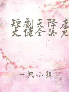 短剧天降老公是大佬全集免费观看
