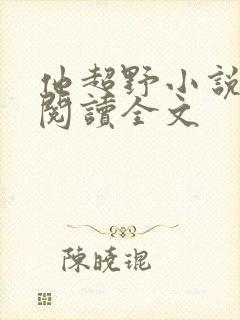 他超野小说免费阅读全文