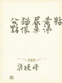 公猫尿黄粘稠有点像鼻涕