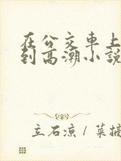 在公交车上被弄到高潮小说