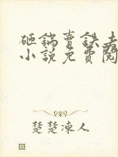 砸锅卖铁去上学小说免费阅读免费