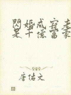 闪婚成宠老公竟是千亿富豪