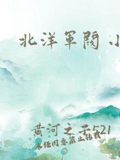 北洋军阀 小说