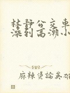 林静公交车轮流澡到高潮小说