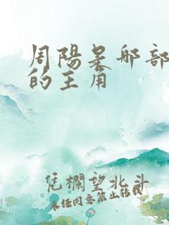 周阳是哪部小说的主角