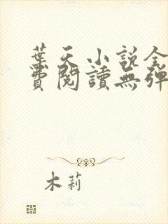 叶天小说全文免费阅读无弹窗