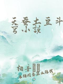 天蚕土豆斗破苍穹小说