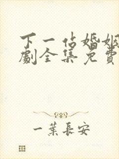 下一站婚姻电视剧全集免费观看高清