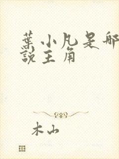 叶小凡是哪部小说主角