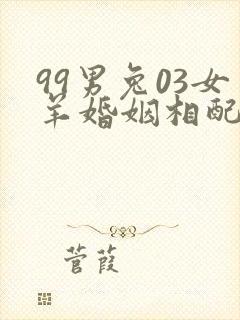 99男兔03女羊婚姻相配好吗