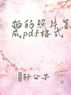 拍的照片怎么变成pdf格式
