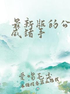 最新版的公交车咸猪手