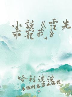 小说《霍先生乖乖宠我》