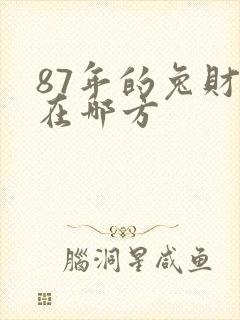 87年的兔财运在哪方