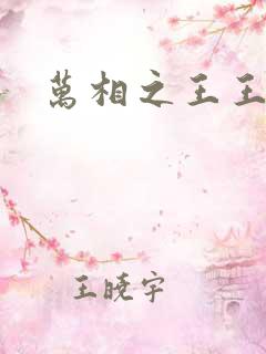 万相之王王玄谨
