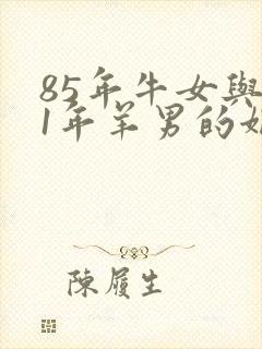 85年牛女与91年羊男的姻缘