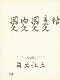国内国产精品久久久久久