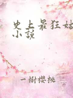 史上最狂姑爷 小说