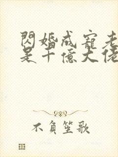 闪婚成宠老公竟是千亿大佬小说