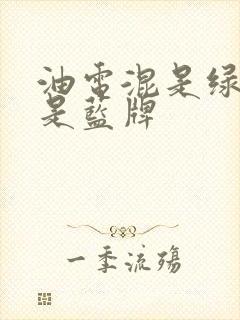 油电混是绿牌还是蓝牌
