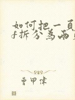 如何把一页pdf拆分为两页