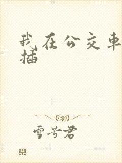 我在公交车上被插