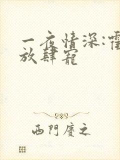 一夜情深:霍少放肆宠