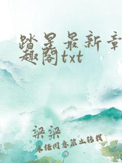 踏星最新章节笔趣阁txt