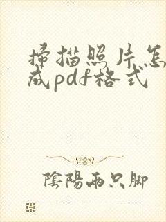 扫描照片怎么变成pdf格式