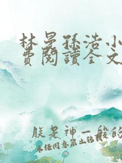 林曼孙浩小说免费阅读全文最新章节