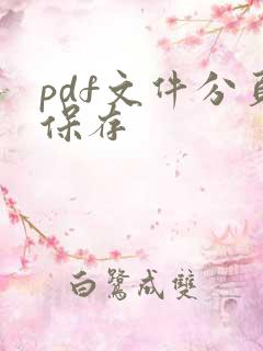 pdf文件分页保存