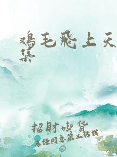 鸡毛飞上天12集